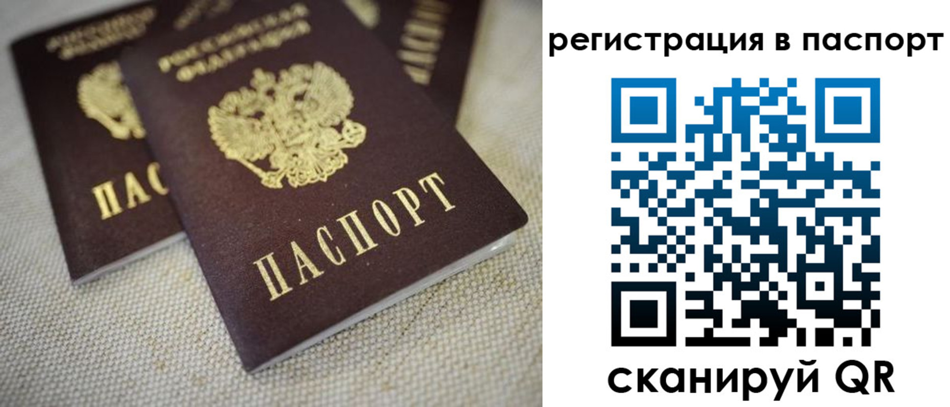 прописка гарантия в Камешково